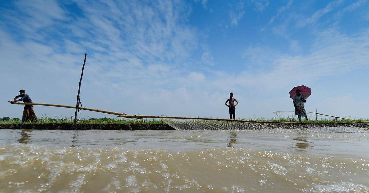 Bangladesh Approves Padma Barrage Project Ahead of Ganga Water Treaty Expiry