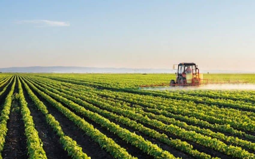 Fresh agricultural strategy shapes prospects for farms in newly freed regions