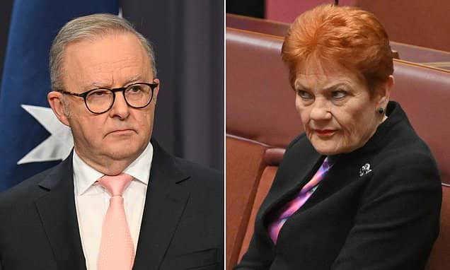 Peter Van Onselen Critiques Elitist Response to Pauline Hanson's Poll Decline