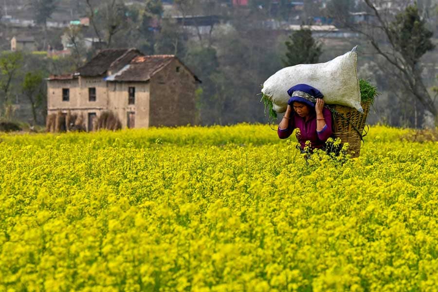 Nepal Positioned to Meet Surging Global Demand for High-Integrity Carbon Credits