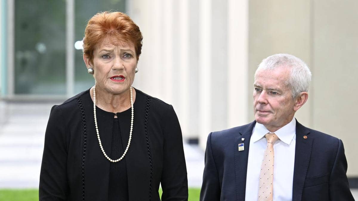 One Nation Senator Praises US Conspiracy Theorist