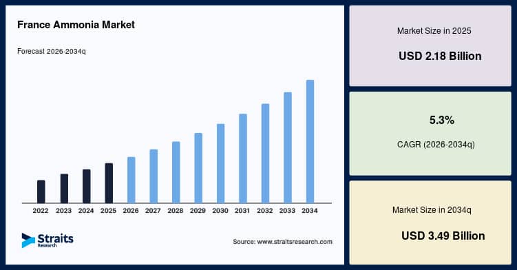 France Ammonia Market Valued at $2.18 Billion With 5.3% Growth Forecast Through 2034