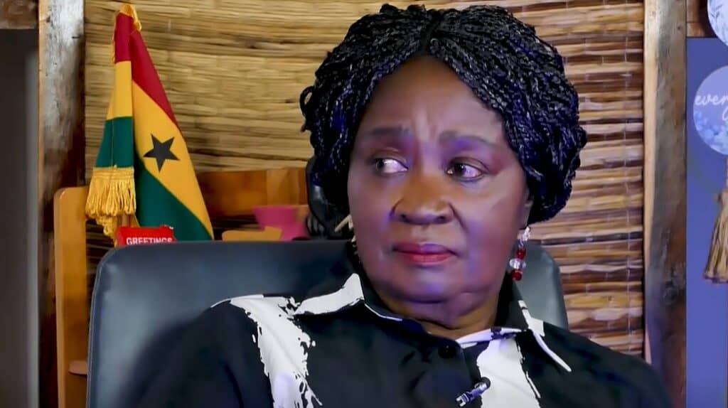 VP Dismisses 2028 Presidential Speculation as Betrayal Amid NDC Leader Rumors