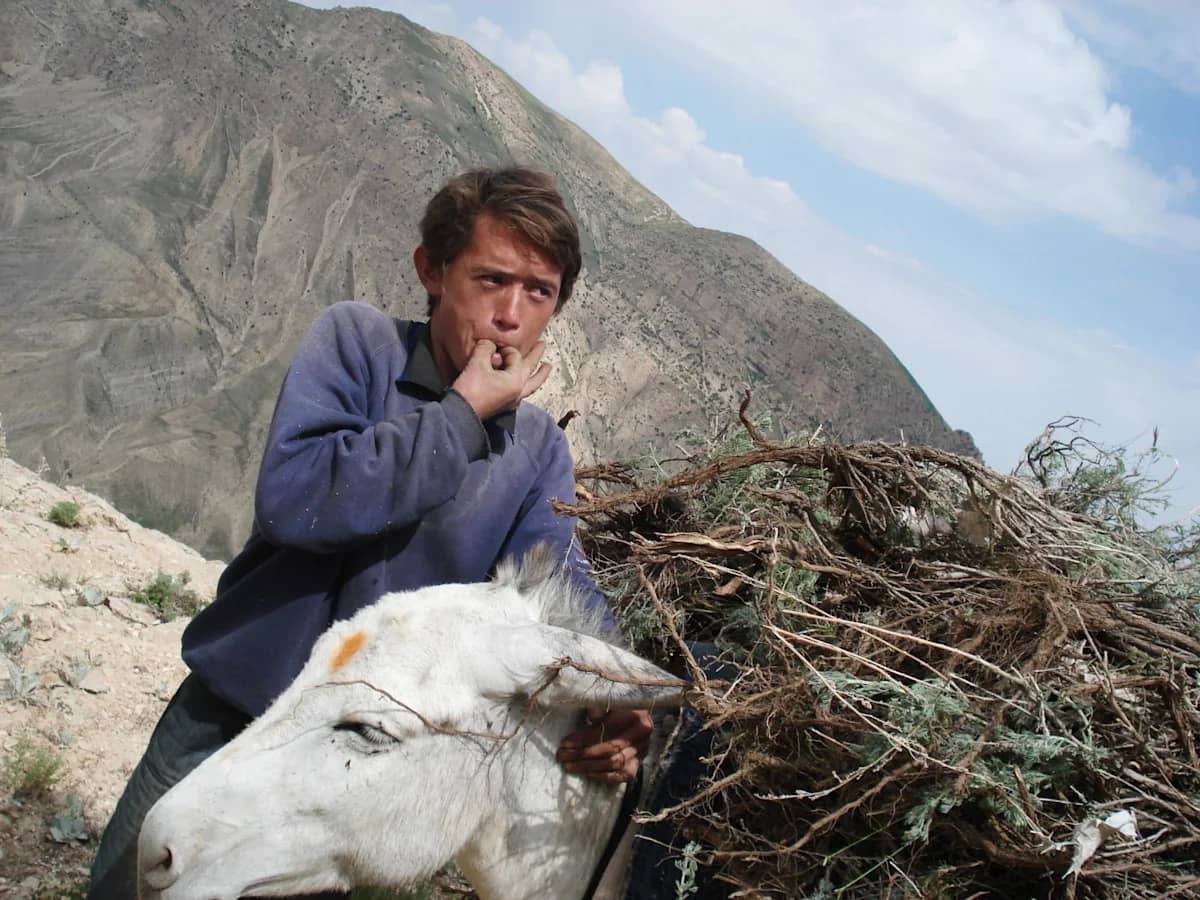 Review: 25 Years in Afghanistan chronicles an optimist's remarkable journey