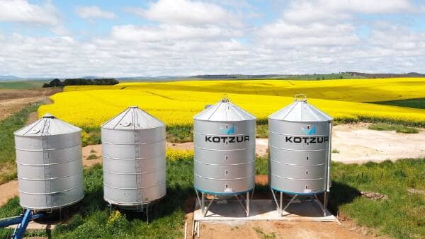 Urea Cost Drop Offers Relief to Grain Farmers Amid Uncertain Harvest Outlook