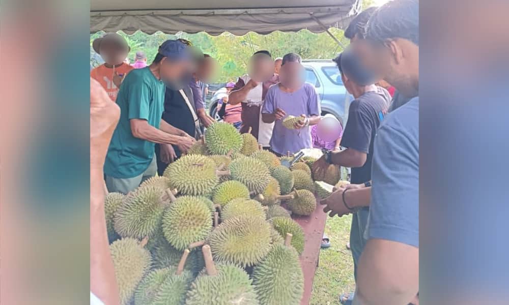 Bersih Demands Electoral Reforms Following Reports of Durian Gifts and Lucky Draws in Johor and Negeri Sembilan