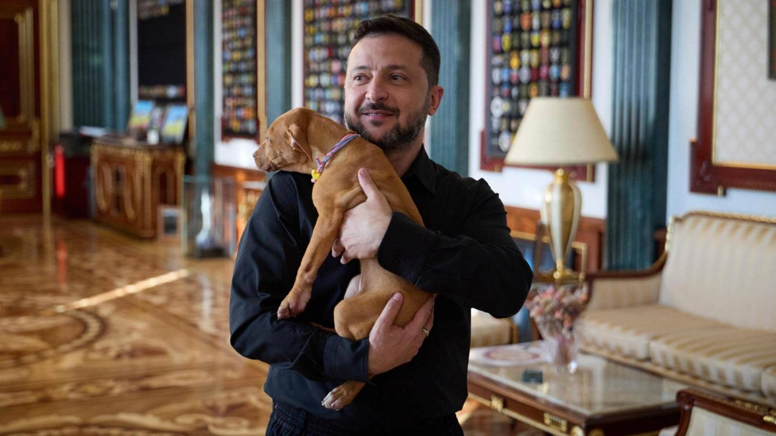 Zelenskyy Receives Puppy Named After Air Defense System in Kyiv