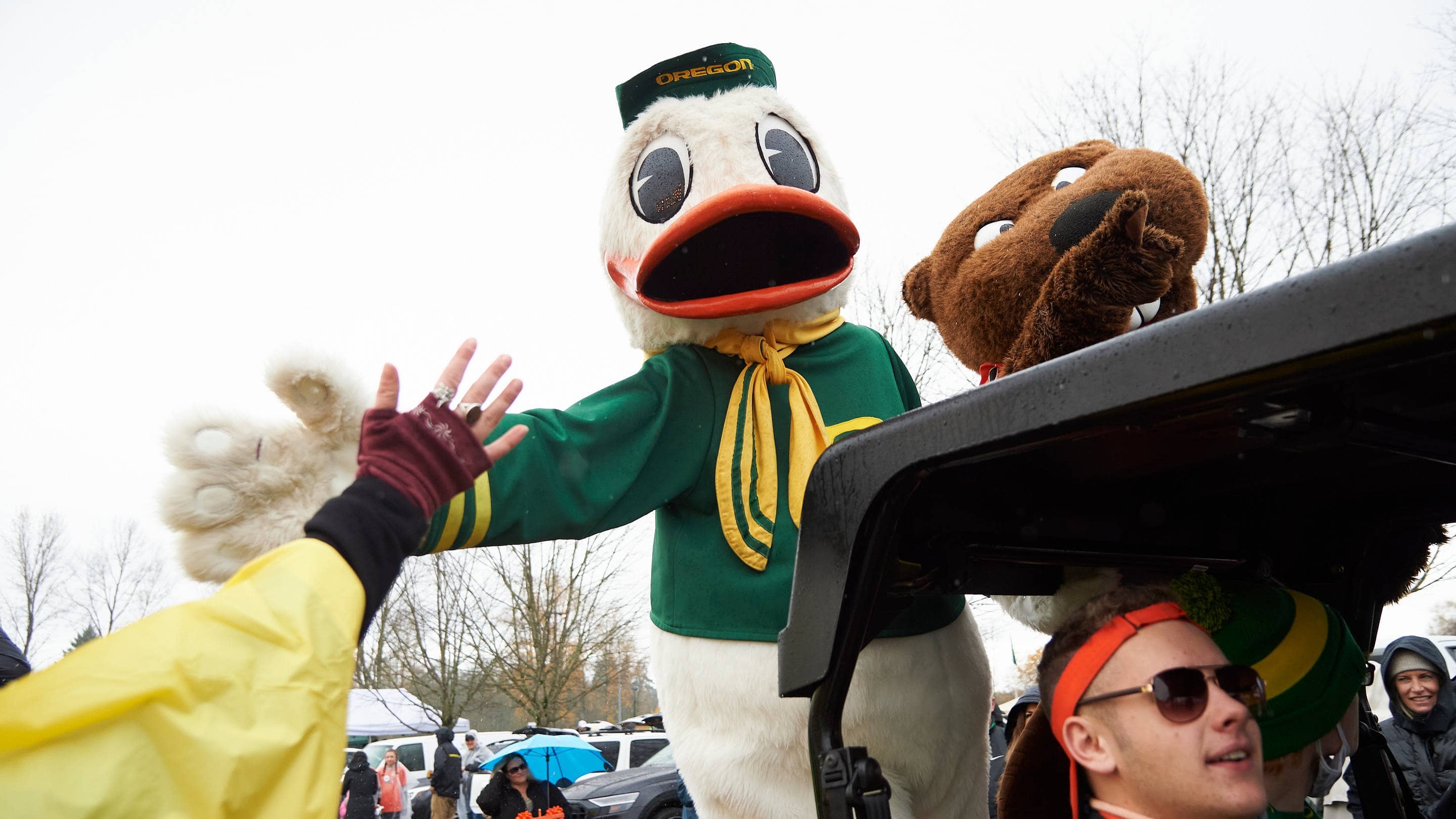 Oregon Ducks and Beavers Mascots High-Five Fans Before Autzen Stadium Rivalry Game