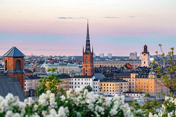 Sweden's Fintech Leader Reevaluates Cash Usage