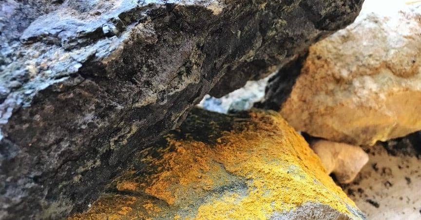 Lynas Rare Earths Sees Record Revenue Amid Market Focus