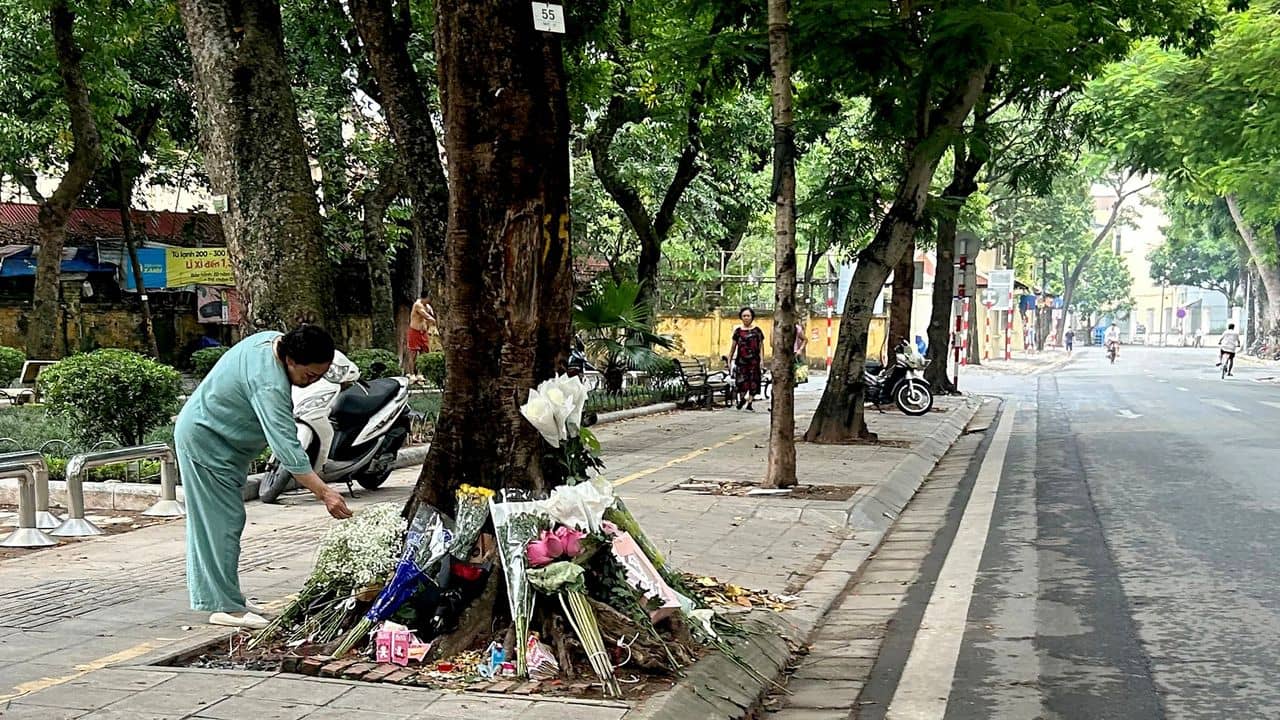 Vietnam Gen Z Protests Over 'Tree 55' Allegations