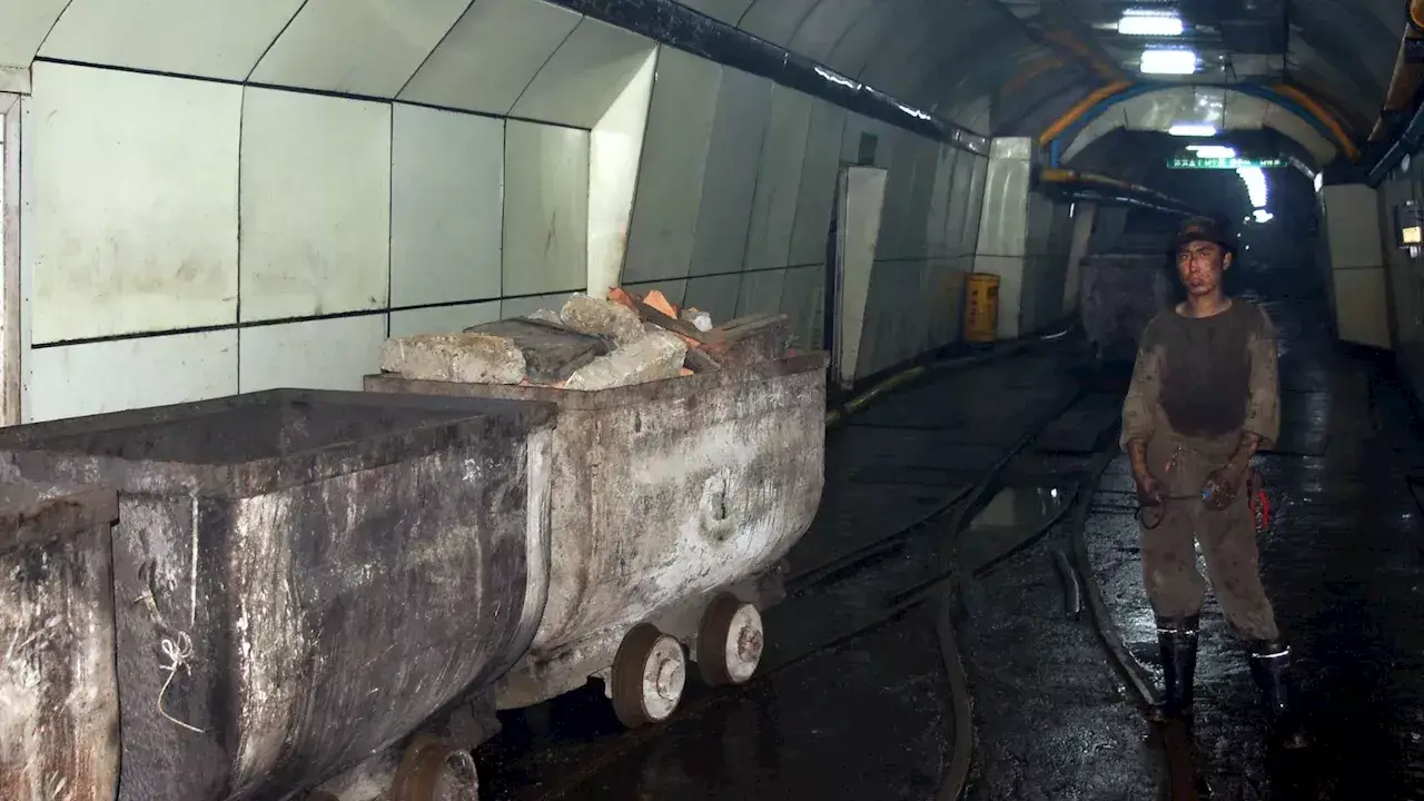 China Explores Subterranean Agriculture in Disused Coal Mines
