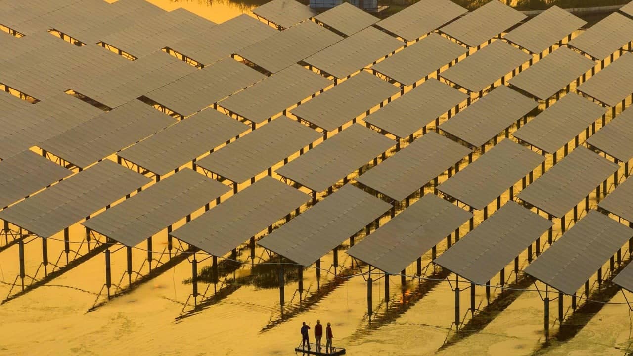 Chinese Energy Firms Cite Policy Volatility as Barrier to Global Expansion