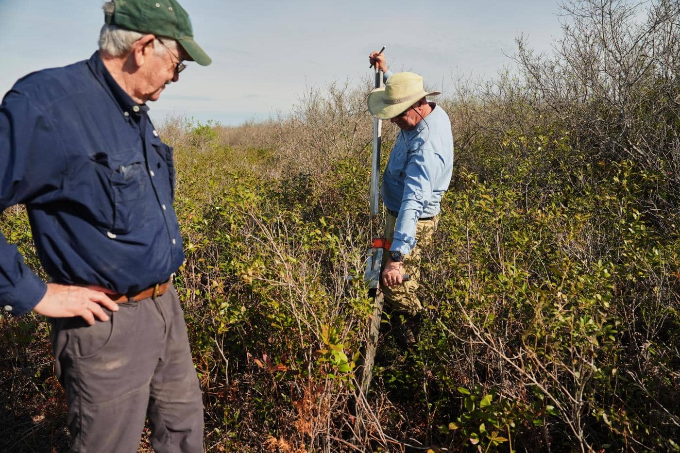 North Carolina Urges Action to Save Peatlands from Drying and Destruction