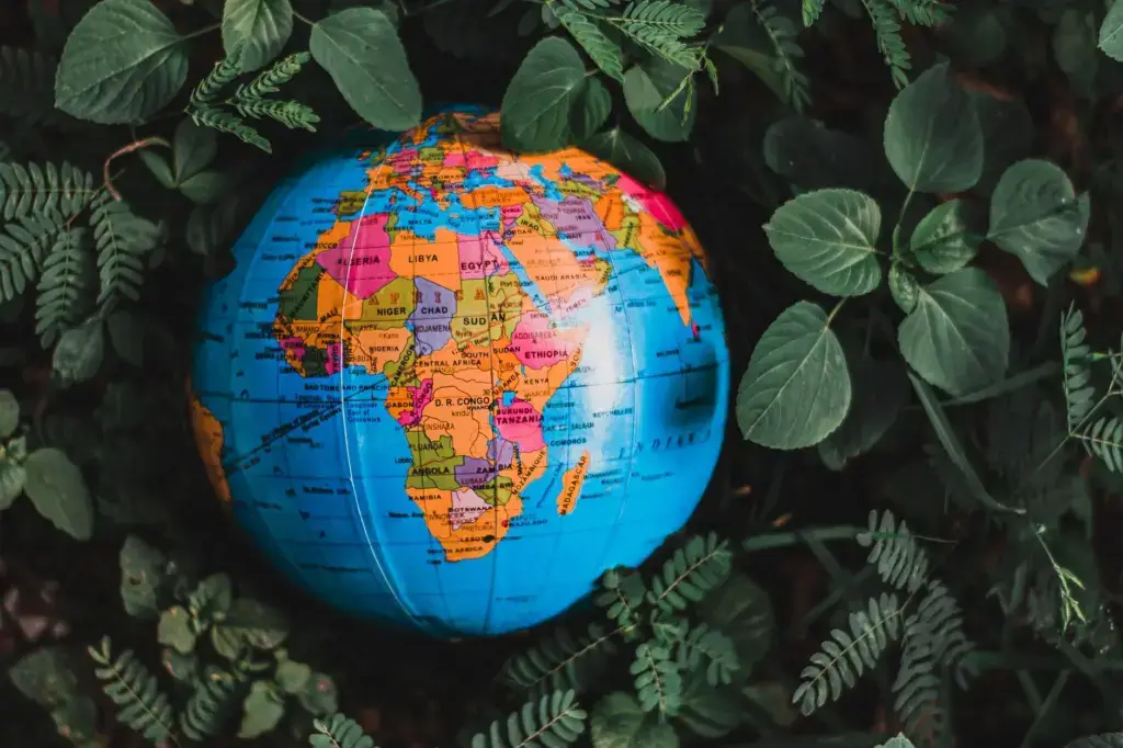 Causes of Current Global Instability Explained