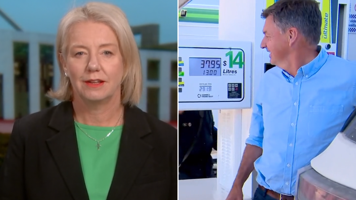 Taylor Criticizes Govt on Fuel Tax Cut Plan