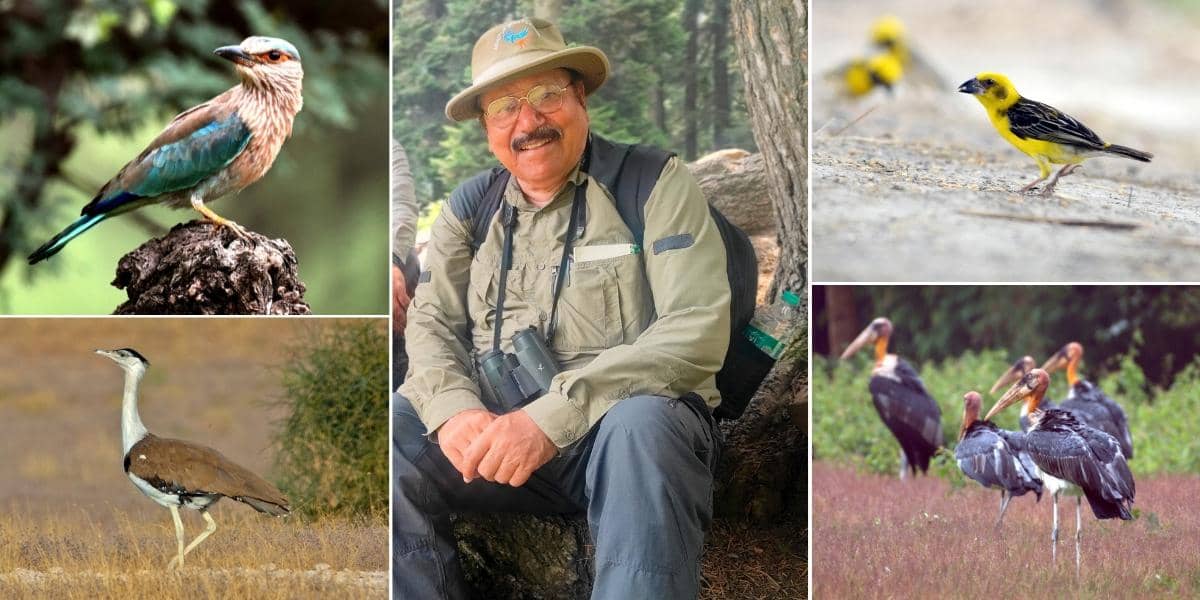 Ornithologist Asad Rahmani Discusses His New Book 'Where Have the Birds Gone?'