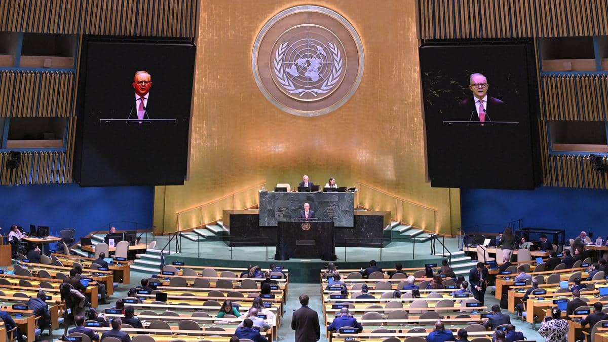 Albanese UN Speech Highlights AI Risks and Promotes New Algorithmic Guidelines