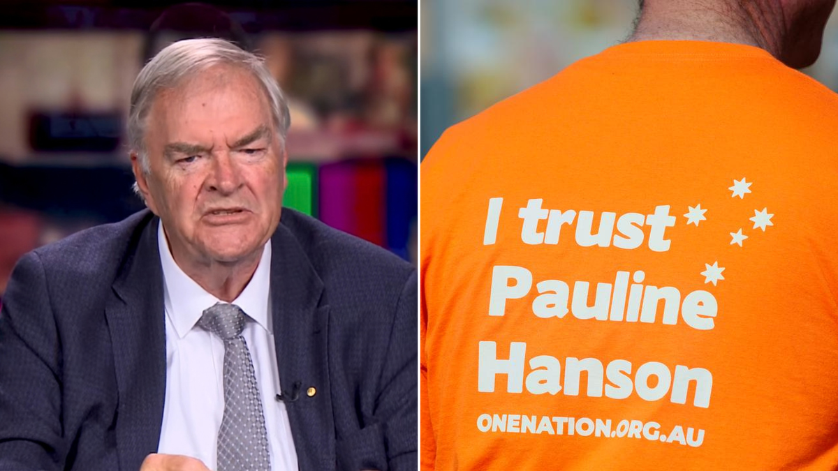 Kim Beazley Warns One Nation Would Be a Total Disaster if It Gains Government Power