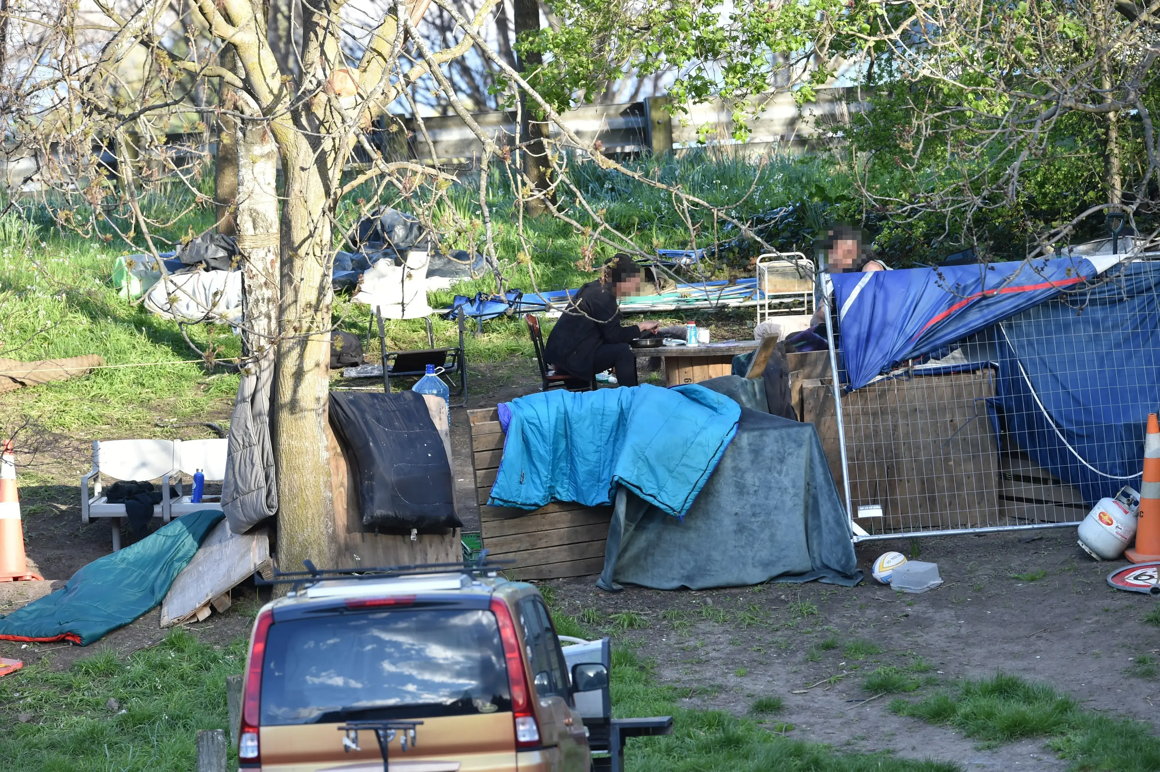 Global Survey Reveals New Zealand Voters Prioritize Economy Over Social Issues