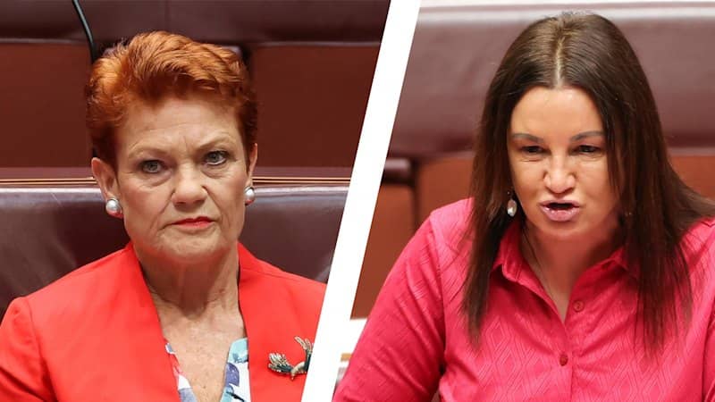 Lambie condemns Hanson's offensive cartoon