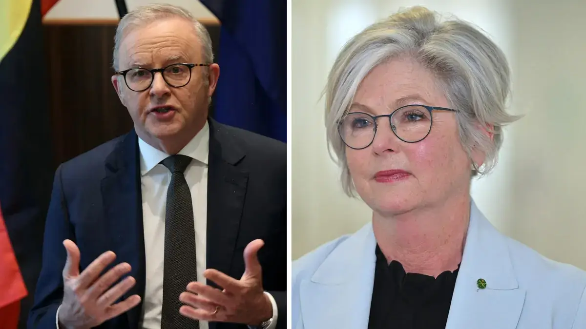 Albanese Denies Distributing Dirt File on Haines, Calls It Personal Attack